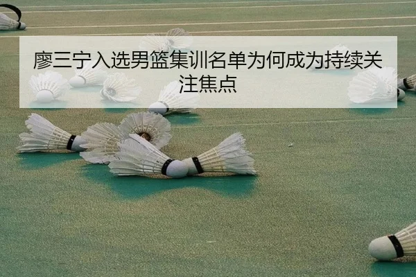 廖三宁入选男篮集训名单为何成为持续关注焦点